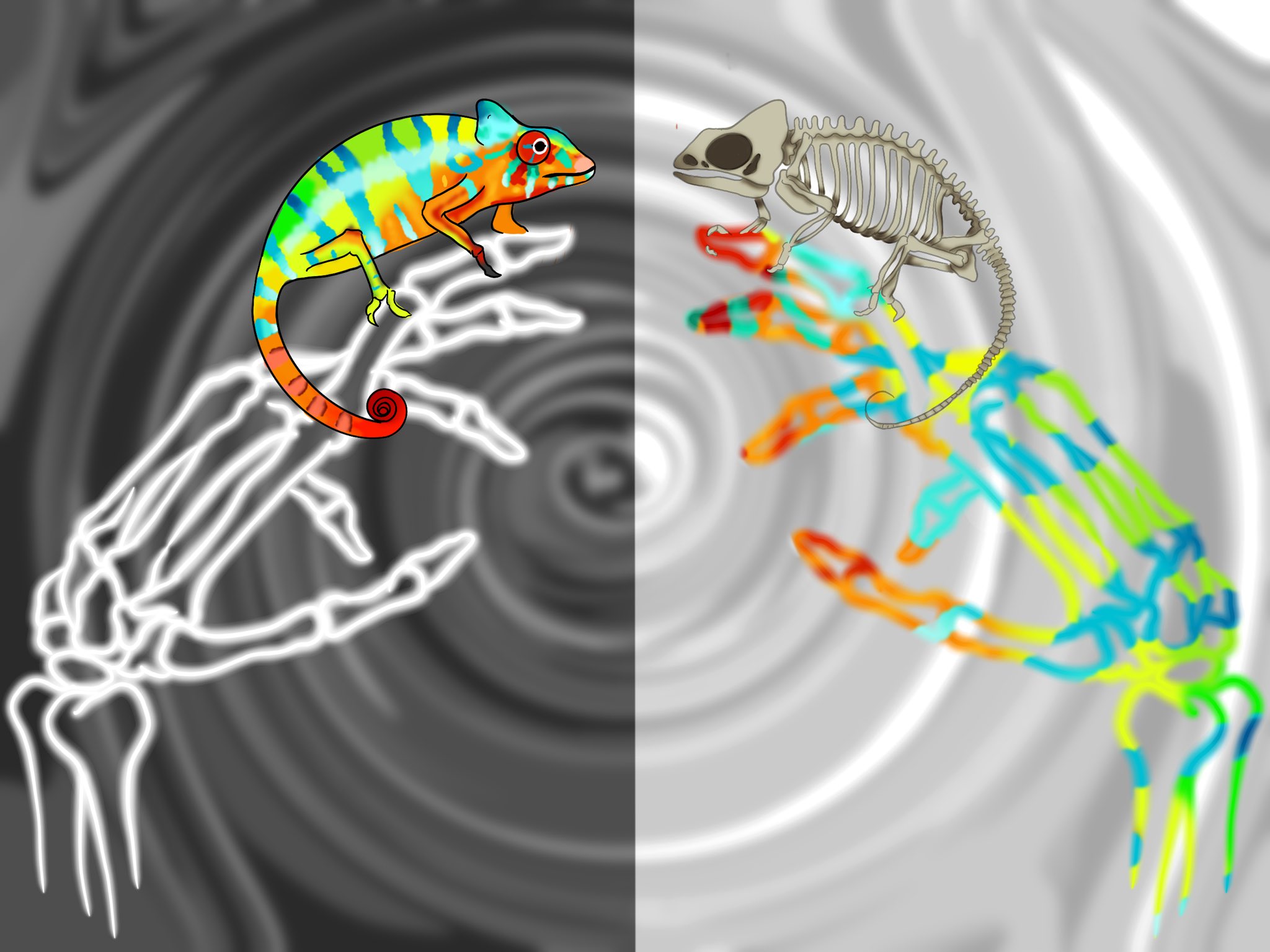 рџє рџ рџњ Oreos Artрџњ рџ рџє On Twitter Which One Do Yall Like Best I Thick I рџє рџ рџњ Oreos Artрџњ рџ рџє On Twitter Which One Do Yall Like Best I Thick I