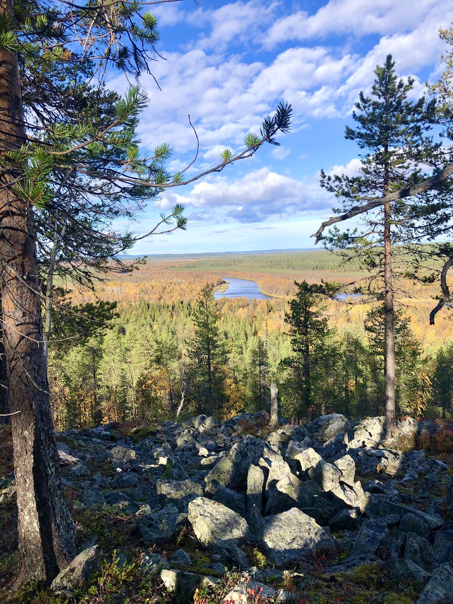 LauraVarja's tweet image. Ensimmäistä kertaa elämässäni näin Lapin ruskan. Olen aivan haltioissani, käsittämättömän upeaa! Tänne tulemme joka syksy! 🍁☀️ @visityllas @VisitLevi @OurLapland @OurFinland #Lappi #äkäslompolo