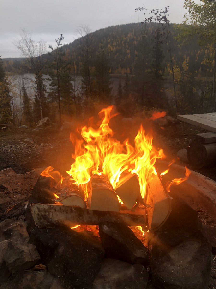 LauraVarja's tweet image. Ensimmäistä kertaa elämässäni näin Lapin ruskan. Olen aivan haltioissani, käsittämättömän upeaa! Tänne tulemme joka syksy! 🍁☀️ @visityllas @VisitLevi @OurLapland @OurFinland #Lappi #äkäslompolo