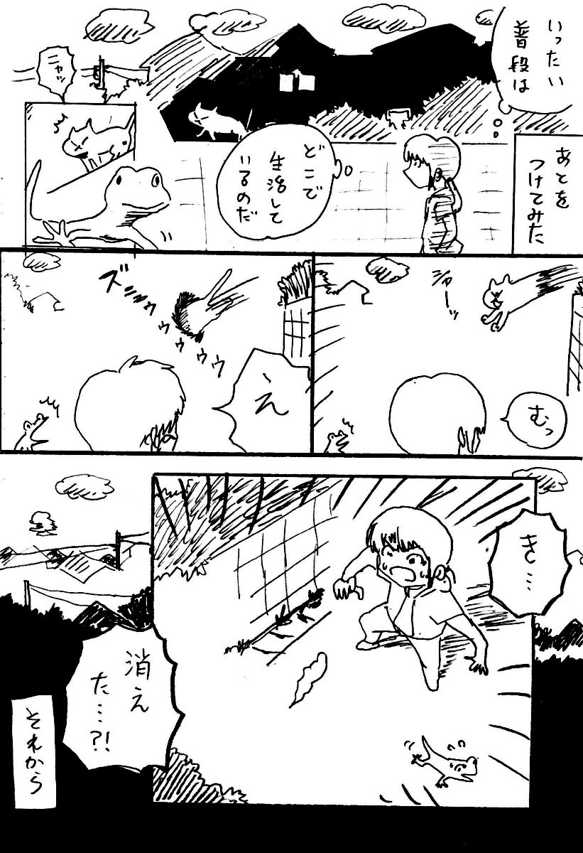 1/7(ななぶんのいち)のネコ 