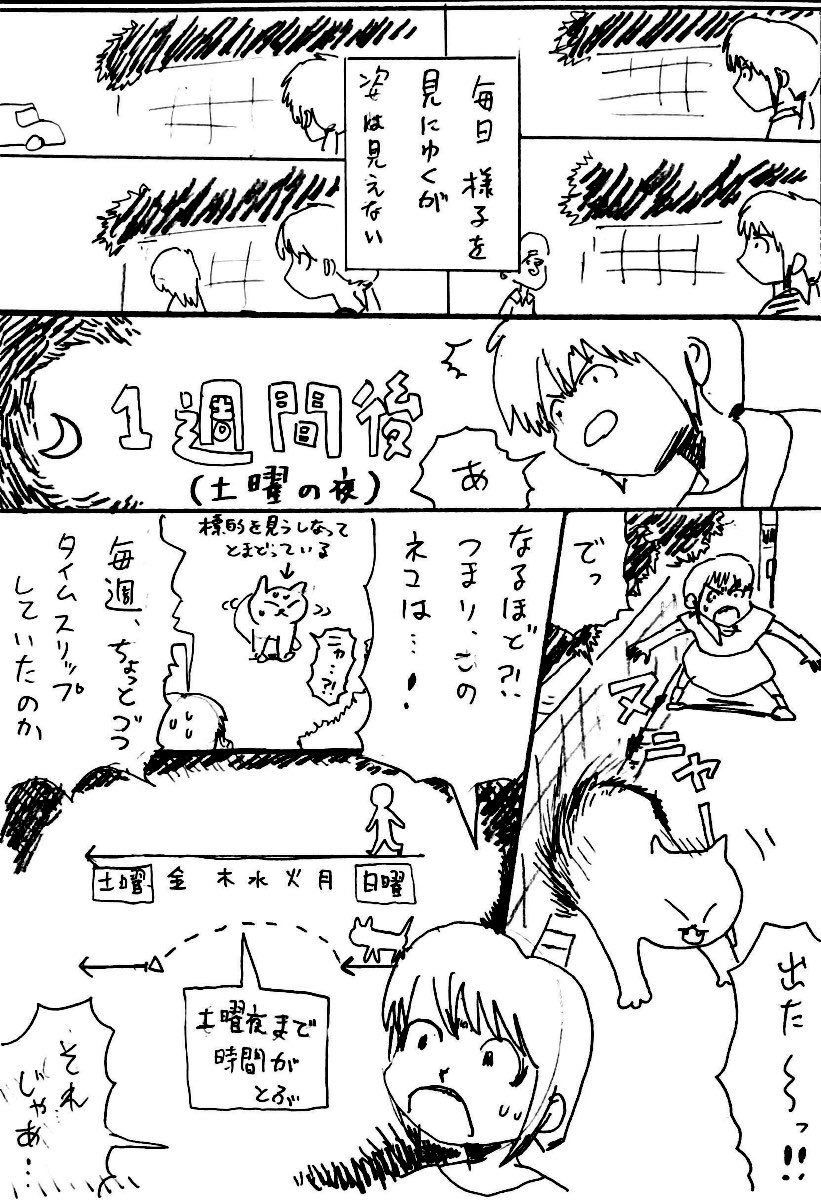 1/7(ななぶんのいち)のネコ 