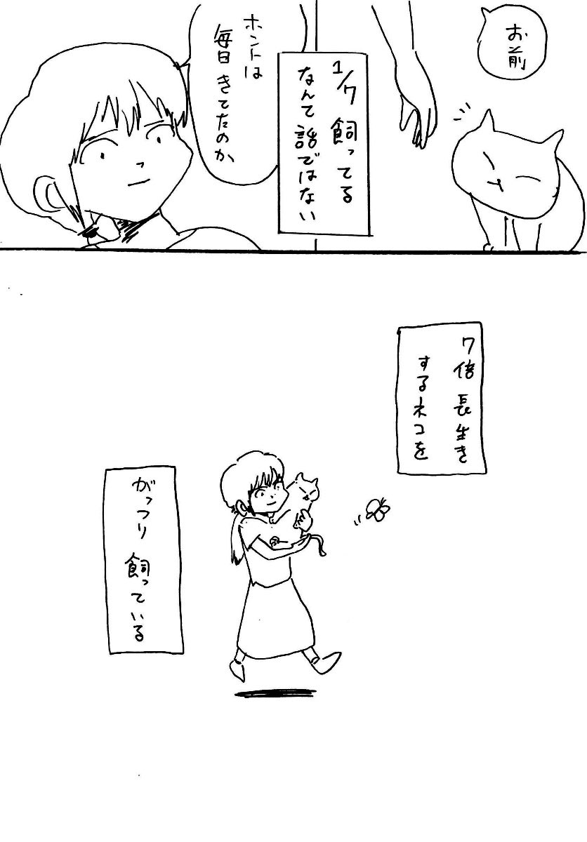 1/7(ななぶんのいち)のネコ 