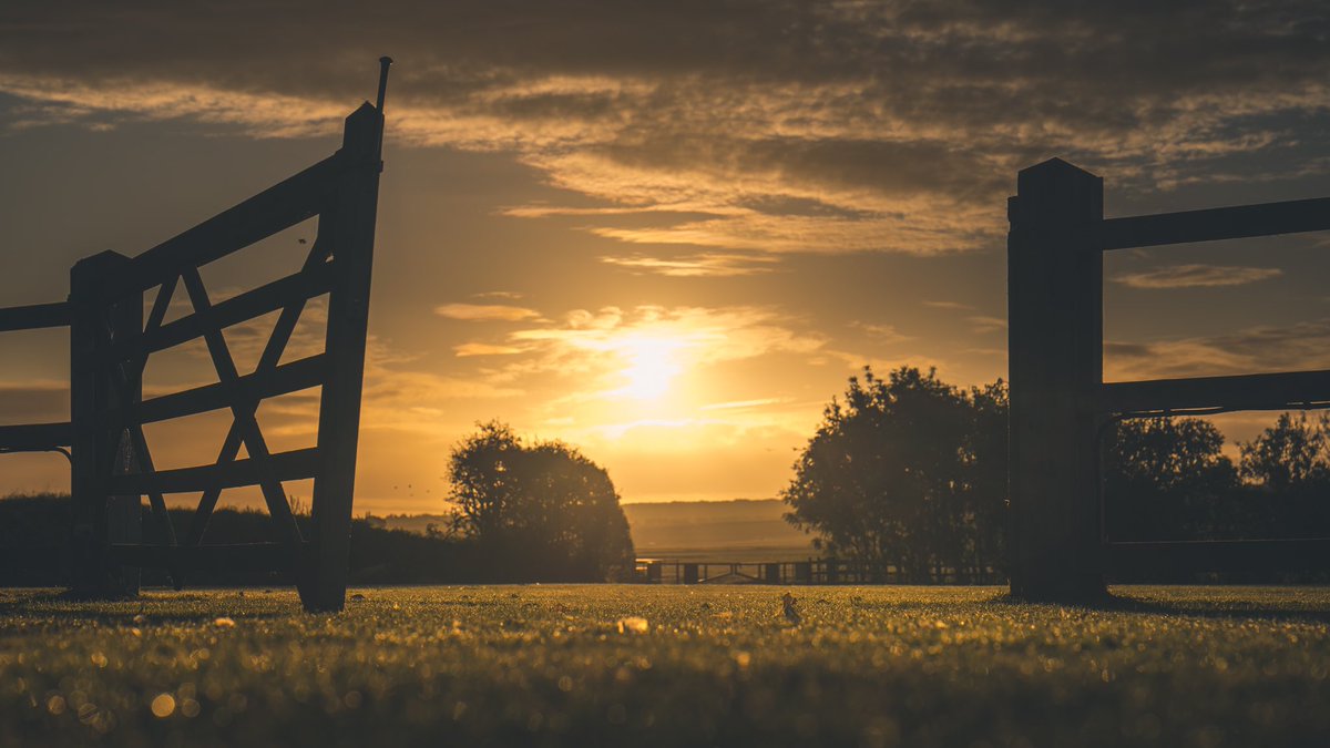 MillFarmTweets's tweet photo. Morning world! #countryliving #outdoorevents #outsidespace https://t.co/bx0Lvbxkwo