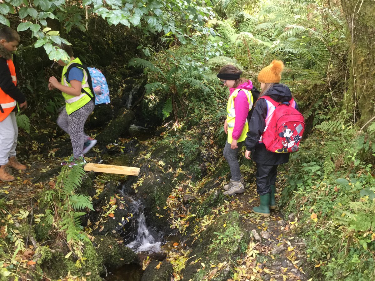 RosneathPrimary's tweet photo. Problem Solving skills - what will help us to cross over safely? No shortage of willing volunteers to carry - recycle a small plank of wood & leave it hidden somewhere safe until our return. Genius!๐๐#werespectnature&oursurroundings https://t.co/bpx0c1knvZ