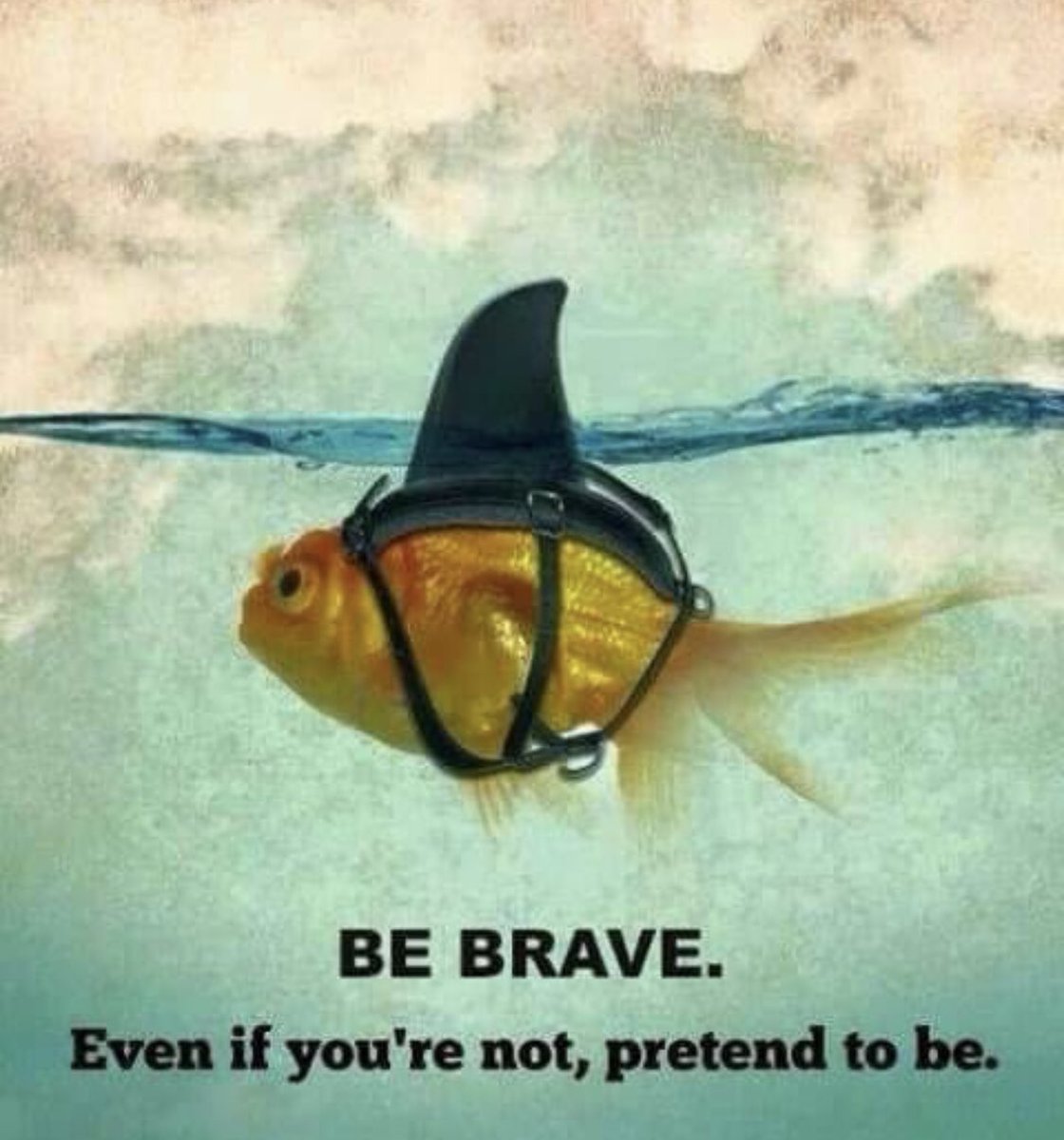 AlfYATD's tweet photo. Be Brave .... https://t.co/JXDwgFiB1D