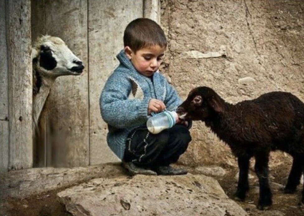 "Merhamet acımak değildir. Merhamet acıtmamaktır."