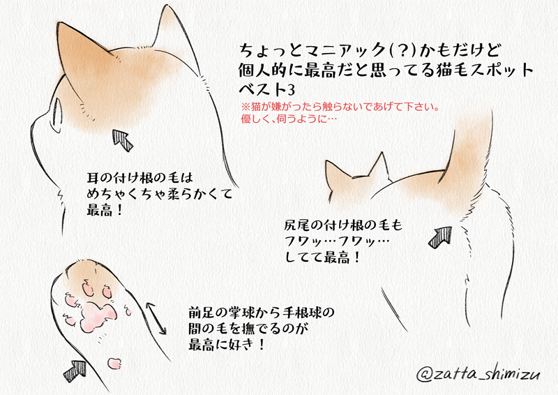 ずっと言いたかったんですが個人的に最高だと思ってる猫毛スポットベスト3です 