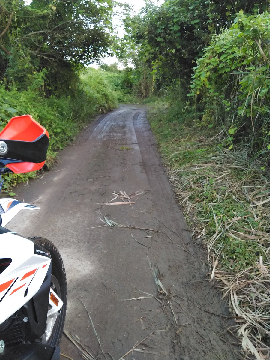 KTM819O4's tweet photo. #渡良瀬川沿い #ヌタチュルは嫌い #絶対服を汚したくないマン #TKC70 https://t.co/nPY57v6C3x
