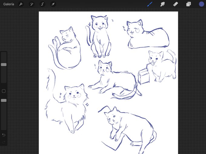 Kitties..... 