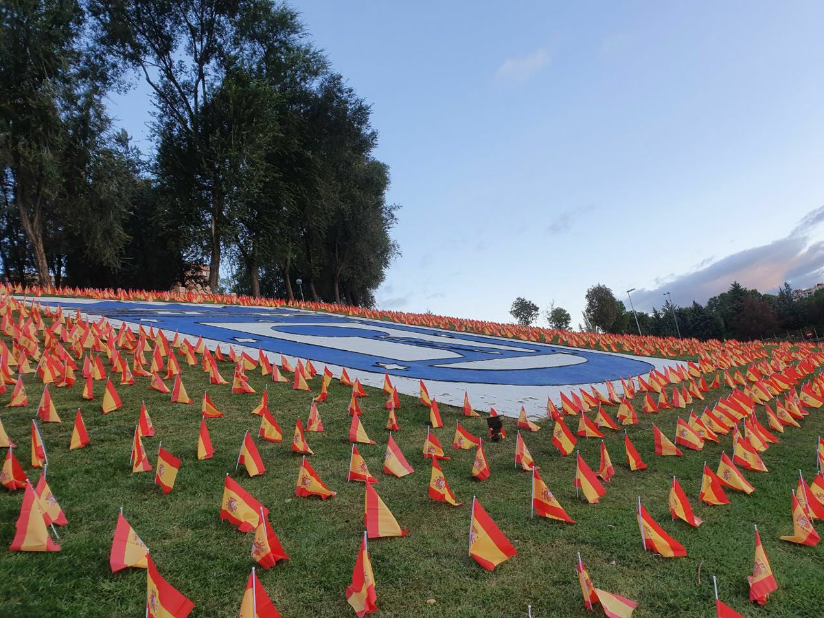 RuizBartolome_'s tweet photo. Emotiva iniciativa de ANVAC (Asociación Nacional de Víctimas y Afectados por Coronavirus), que han colocado 53.000 banderas en el parque de Roma, frente a la M-30.
Todas y cada una de las víctimas representadas. https://t.co/28vPjELeiG