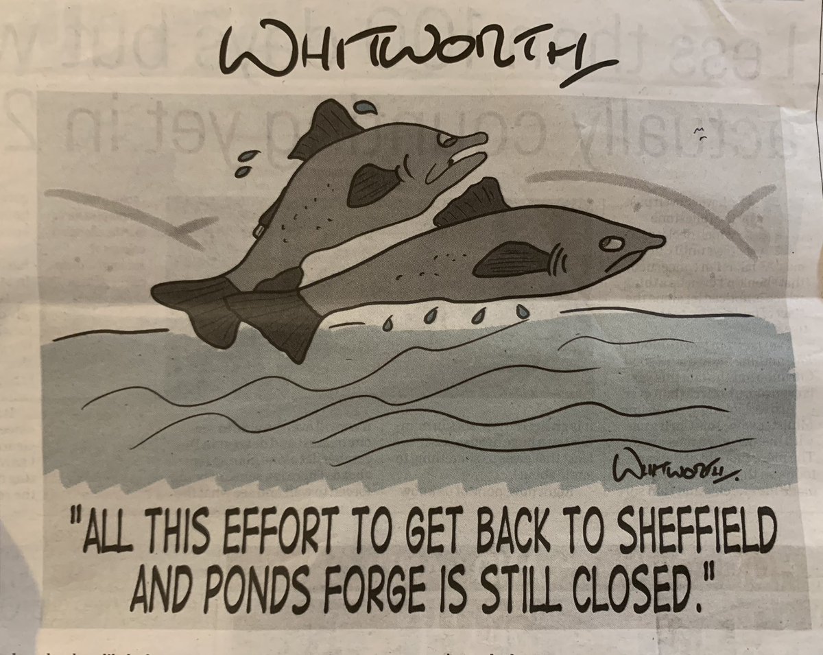 SheffieldSandL's tweet photo. Keep going people! Not that long to go now until we are back in the water 💦 

Another fantastic cartoon by @whitworthcartoons in the Sheffield Star Newspaper 🗞 

@SheffCouncil @BBCSheffield @_TeamSteel @PoloSheffield @Sw_EngDiving @thesheffieldstar @sheffcitytrust @swimengland https://t.co/60eSVa1Yj8