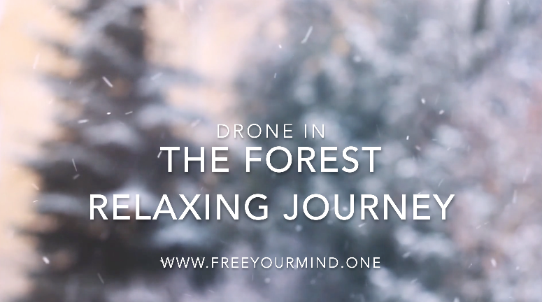 FYMTherapy's tweet photo. 1h HD movie with awesome relaxing music.
Perfect for your TV when having friends across or just to create nice and relaxed family mood at home.
Follow below YouTube Link.
Enjoy.
https://t.co/gbYSp4xFae https://t.co/jJnCefM8eX