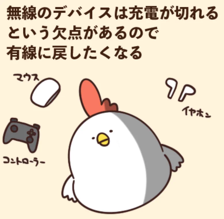 @debu_dori ラジコンの存在を否定するようなオチ 