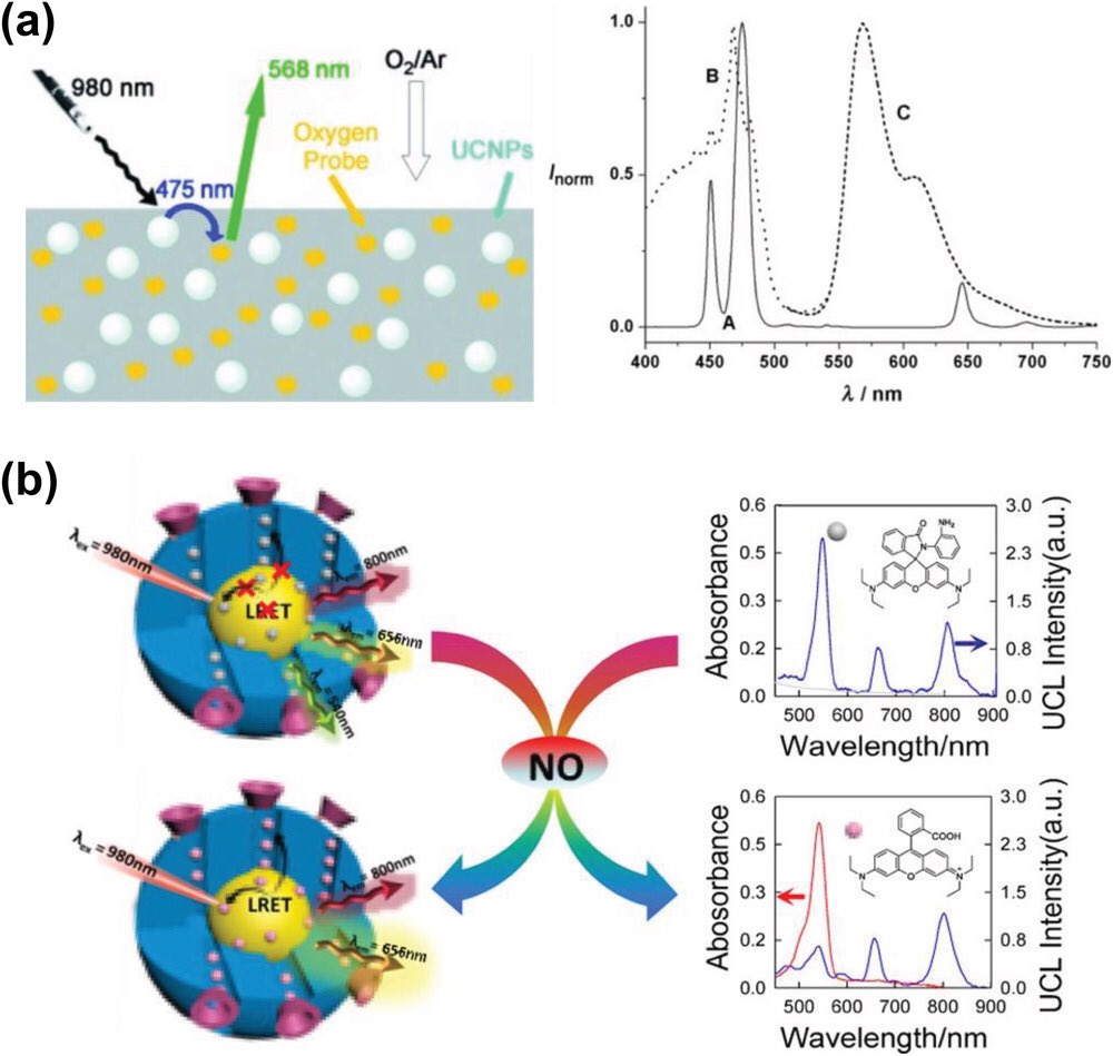  https://en.wikipedia.org/wiki/Liquid-crystal_polymer