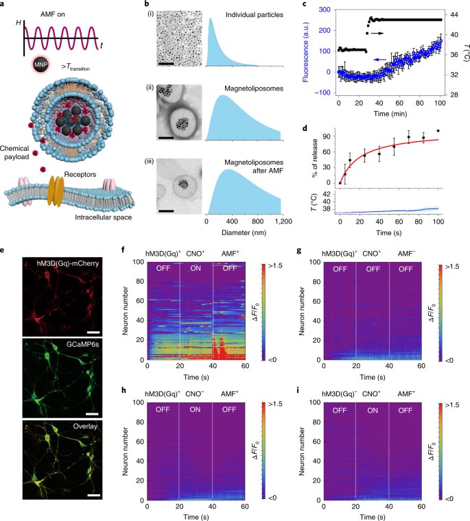  https://en.wikipedia.org/wiki/Liquid-crystal_polymer