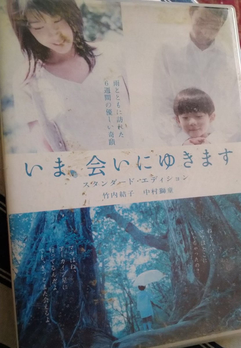 竹内結子 の感情分析 Nyakone 竹内結子 の感情分析 Nyakone