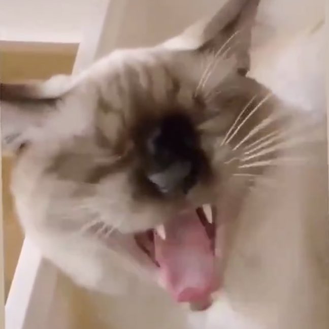 รำ                                   ค๊าญญญ