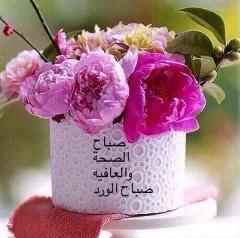 NanaKassem2's tweet photo. @Bayome20 صباح الورد يانجم https://t.co/pKMskZPED0