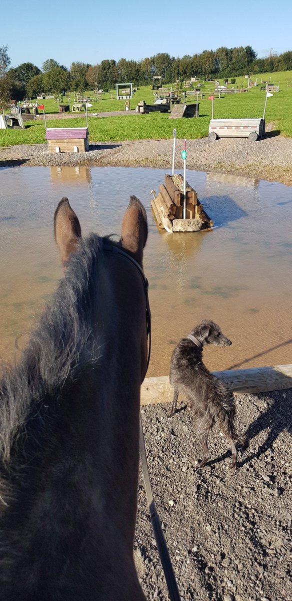 Morning checks on the xc course ☀️ Blessed with another beautiful day