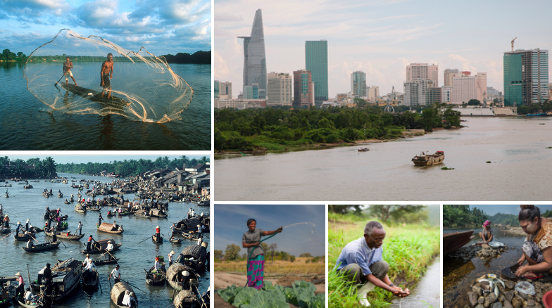 We depend on healthy rivers for much more than water. They support vital freshwater fisheries that feed millions, fertilise floodplains, and help defend cities &amp; deltas from impacts of #ClimateChange.

This #WorldRiversDay, let's all start #ValuingRivers
pand.as/ValuingRivers