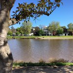 Photo by Yarra Pools (@YarraPools)