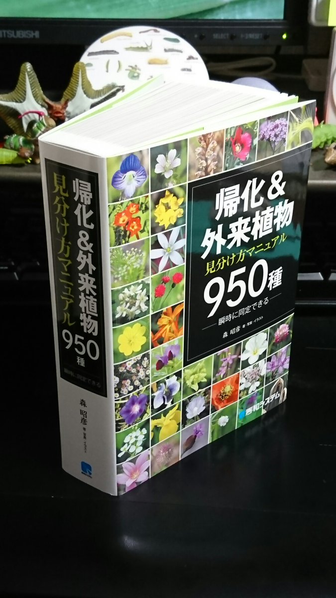 川邊透 ぶ厚すぎて 768ページもある 机の上に立ててもびくともしない 帰化 外来植物 見分け方マニュアル950種 ものすごくよいです 外来種と間違って駆除しないようにとの目的で在来種もいっぱい載っていて 見分けがスイスイできるイラスト図解満載