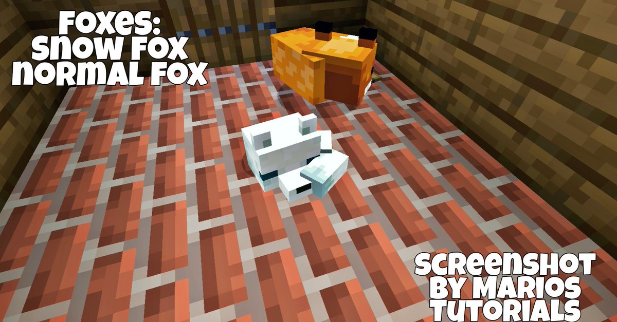 TutorialsMarios's tweet image. Δεν είναι πανέμορφες?