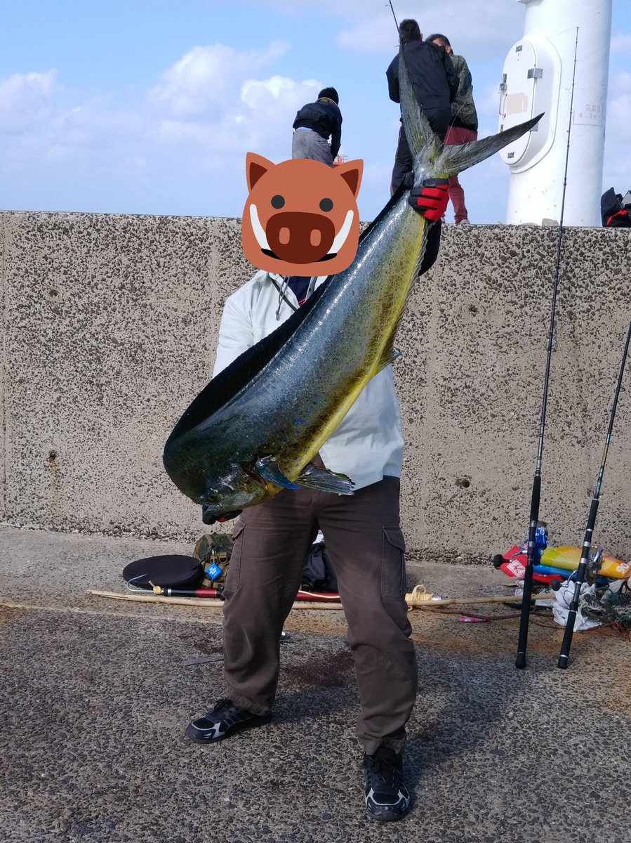 dgb76uls's tweet photo. シイラ自己新120cm、10.7kg‼️ https://t.co/06R0gnr4bh