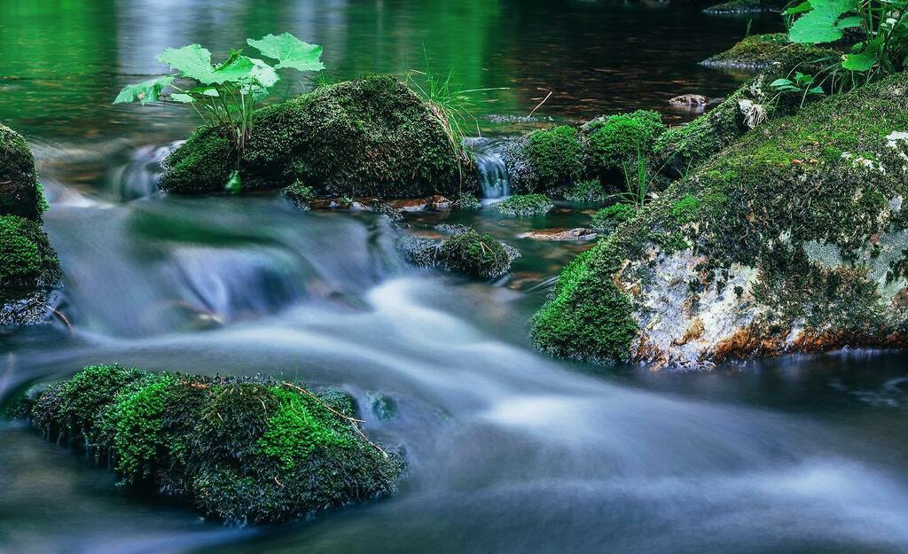 robertbagio's tweet photo. Z Krkonoš.
.
.
.

#stream #landscape #naturephotography #nature #fotkyzceska #beauty_of_czechia #krkonose #like4like #instagood #fotimecesko #landscape #ceskakrajina #czechrepublic #czech #sonya7iii #alpharoamers #sonyalpha #rsa_nature #igerscz #mapy_cz #vscocze #vzcocz #iko… https://t.co/gZTT7dXoJO