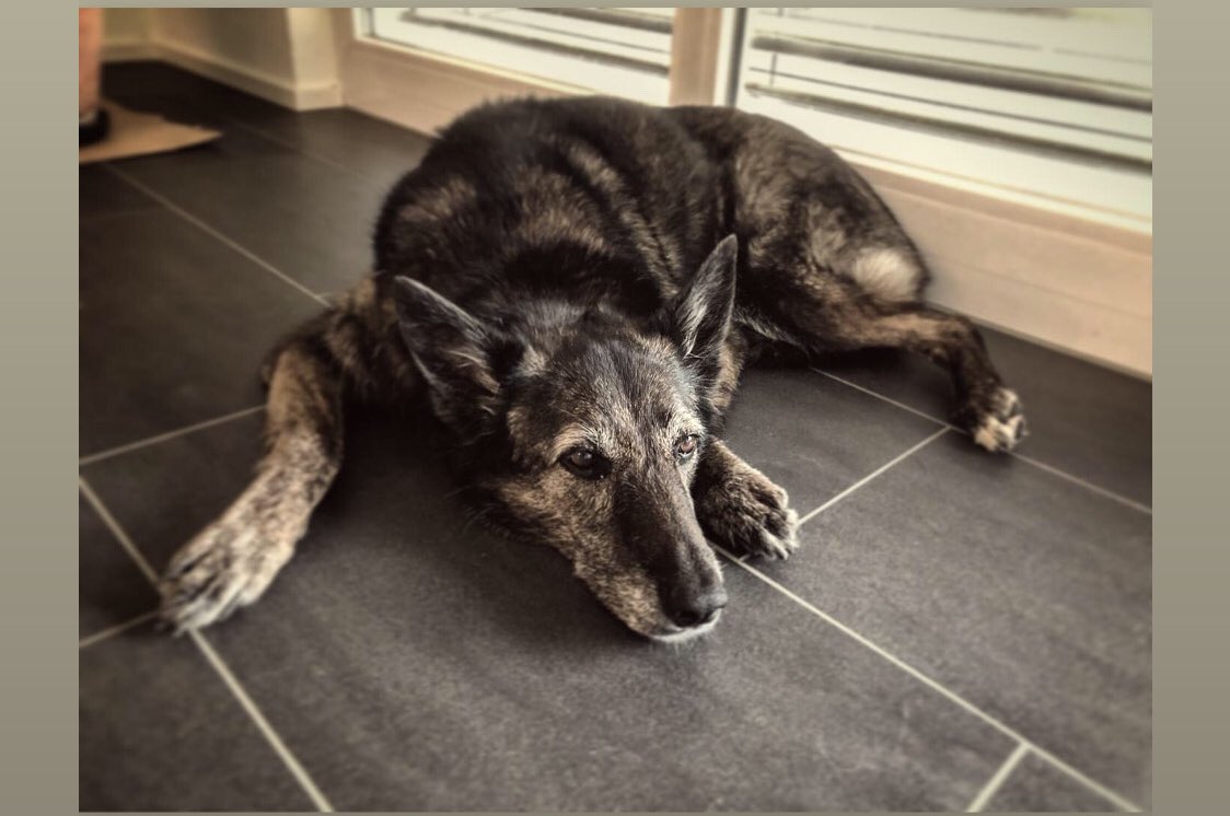 Thomas_toao's tweet image. #undihrso?