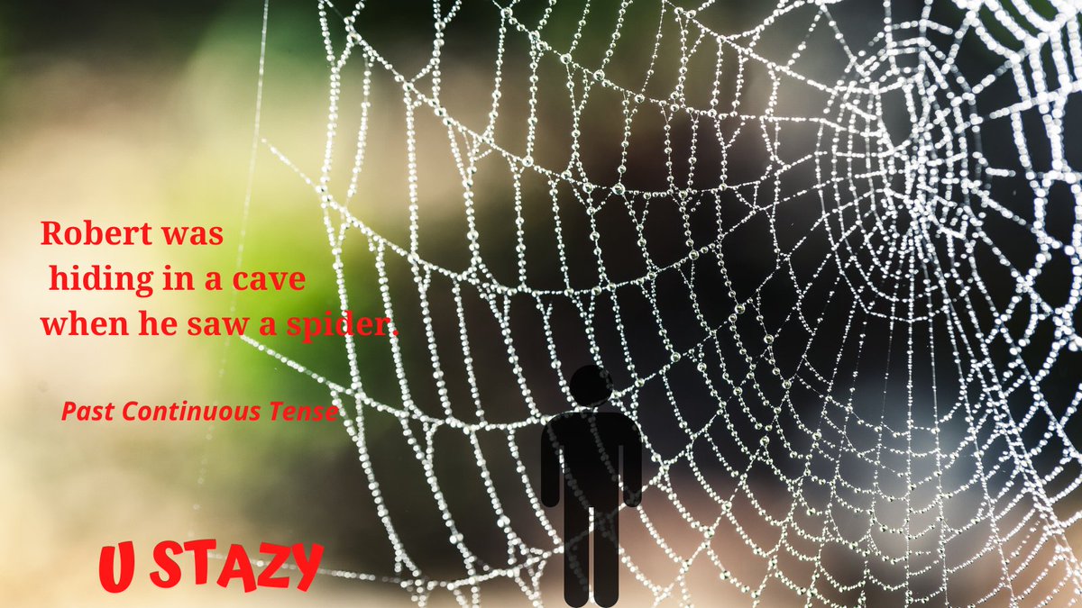 grammarcourses's tweet photo. #englishgrammartenses #pastcontinuous #englishtips #englishonline #english #esl #spider #pastcontinuoustense
Actions that were in progress at a certain time in the past.
Robert was hiding in a cave when he saw a spider.
To watch a short video:
https://t.co/fUi29FrJdk https://t.co/fKOxJJCWZC