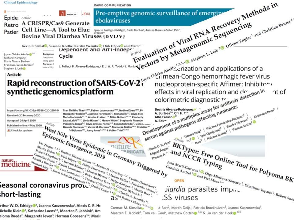 Our ESRs work on viruses crossing borders between humans and animals has been published in several peer-reviewed international journals.
From hard core fundamental science to sophisticated assays for detection...check the publications tab in our webpage! 👉🏼honours.eu
