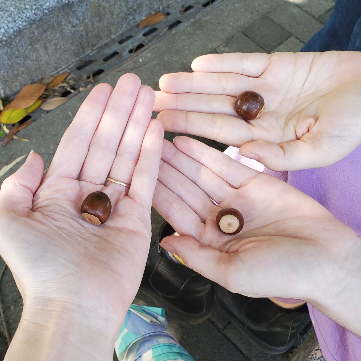 different types of acorns, as he reached into another pocket and pulled out even more acorns, these longer, more yellow."What do you do with them?" I asked."I give them to children" he said, and handed us each an acorn. He thanked us and walked away, back into the trees.