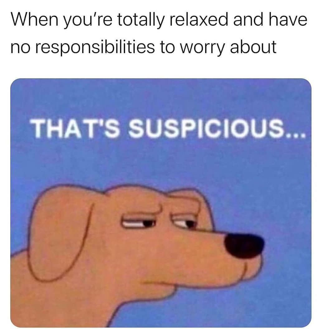 Insidemyhead911's tweet photo. Emmmmm 🤔🤔🤔
#workgoals #employer #manage #workforce #jobinterview #boss #corporate #careergoals #businessowner #worklife #cutestdog #dogface #dogpark #notmydog #findmeahome #dogsofinstagram #animals #dogs #dogphoto #dogsarefamily #funnytextpost #ifunny #nicememe #bruh #meme https://t.co/PCGXJ13aVX
