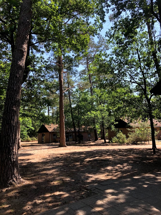 campingmeuleman's tweet photo. HERFSTVAKANTIE 🌿
Nog ff er tussenuit in de herfstvakantie? wij hebben nog een aantal huisjes te huur voor een langweekend of midweekje! Nog even helemaal tot rust komen in het mooie Twente ! 
Boeken kan via onze website : https://t.co/PnJ9XESu0Z https://t.co/Z0q5grIw7z