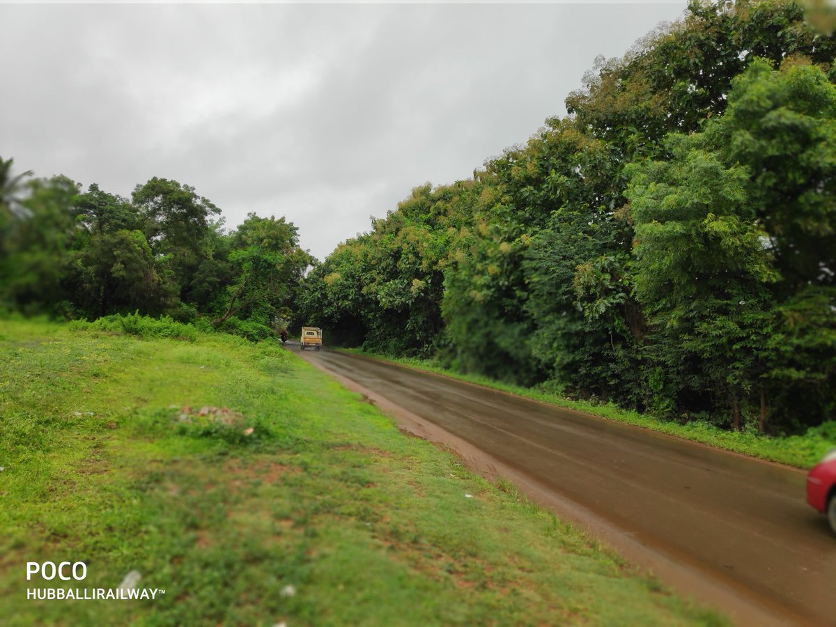 Greenery on Hubballi RoadsBengeri to Unkal (Sai Nagar) Behind Nrupatunga Betta