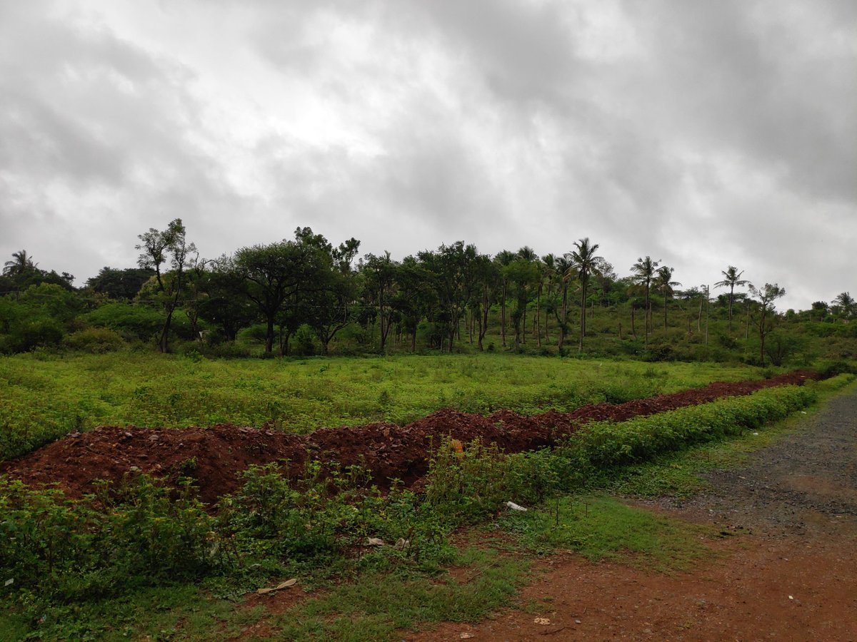 Greenery on Hubballi RoadsBengeri to Unkal (Sai Nagar) Behind Nrupatunga Betta