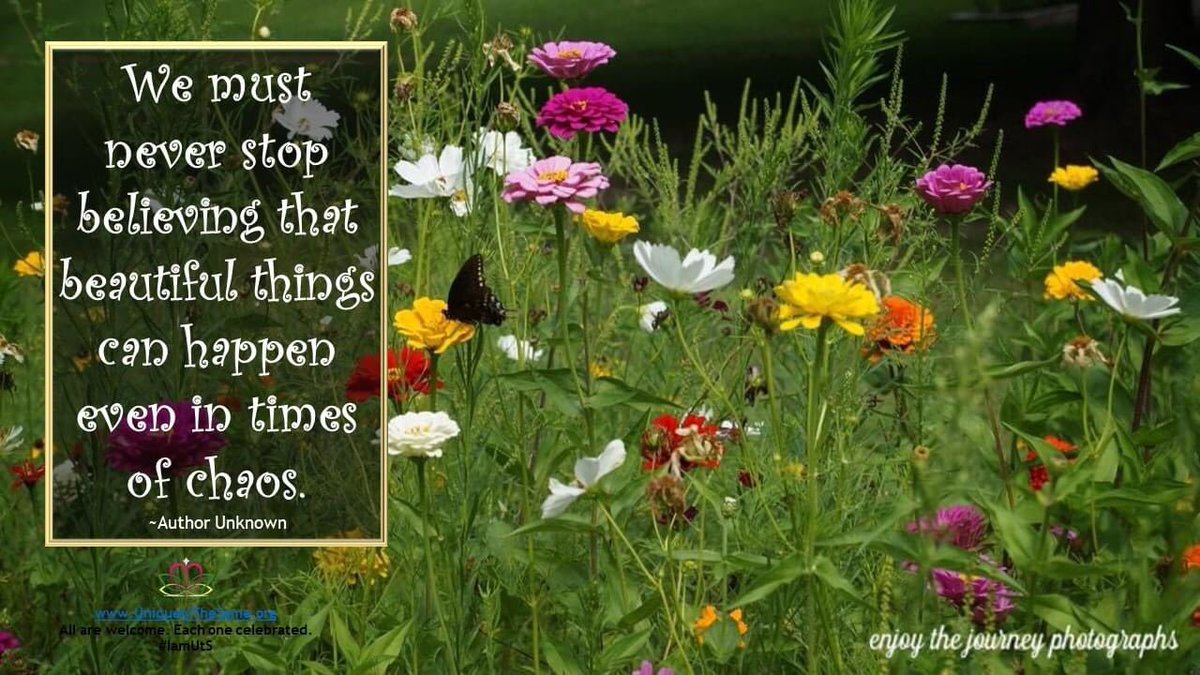 UTSORG's tweet photo. Believe!
https://t.co/97aot2yYCA
All are welcome. Each one celebrated.
#IamUtS 🌿 #disability #diversity #equality #community #quote #DemystifyDisability #believe #LivingLifeTogether
*photo by Andrea Duncan - enjoy the journey photographs https://t.co/YzUJeUtKRl