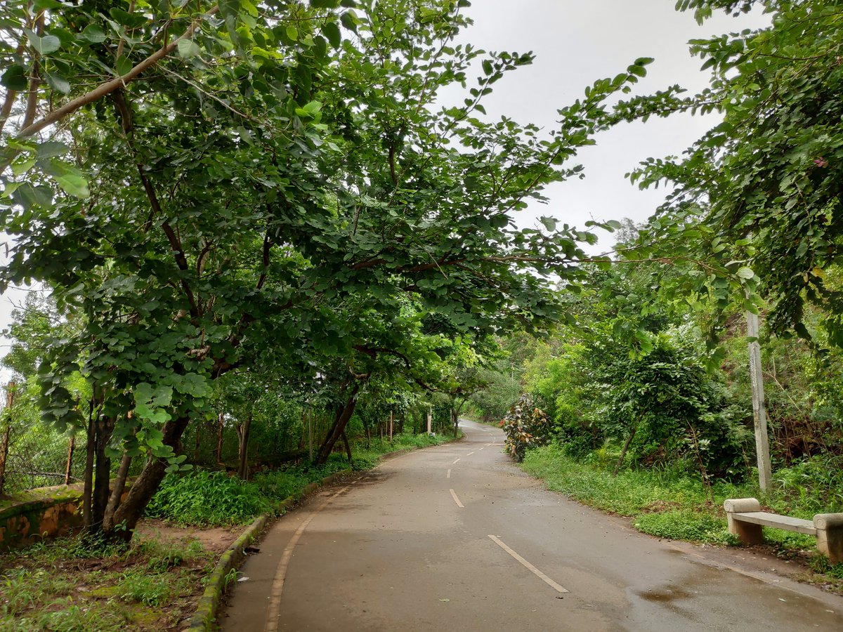 Nrupatunga Betta Road