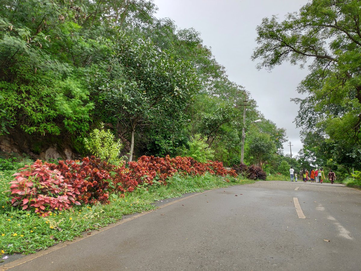 Nrupatunga Betta Road