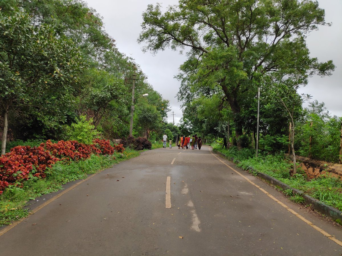 Nrupatunga Betta Road