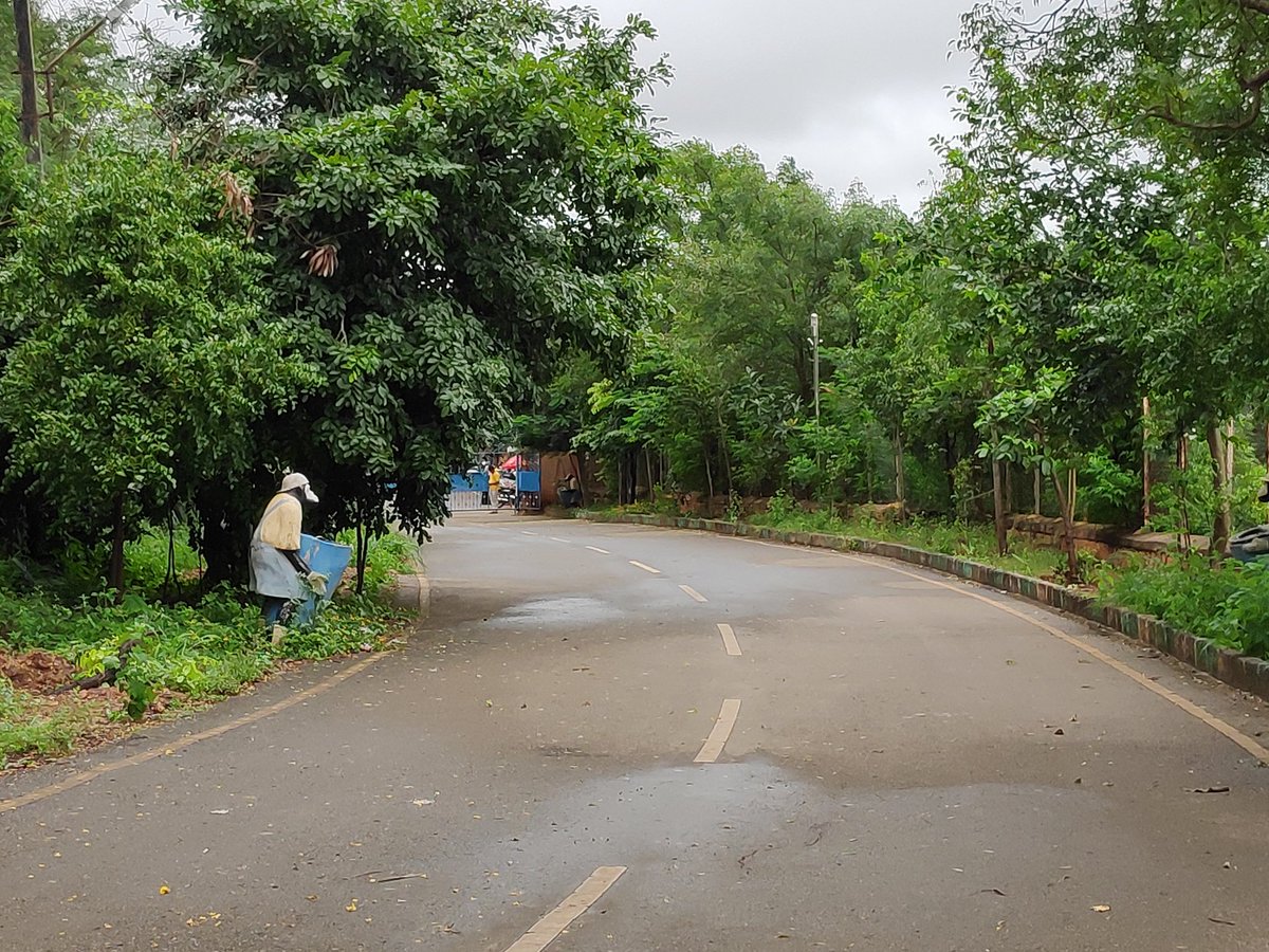 Nrupatunga Betta Road