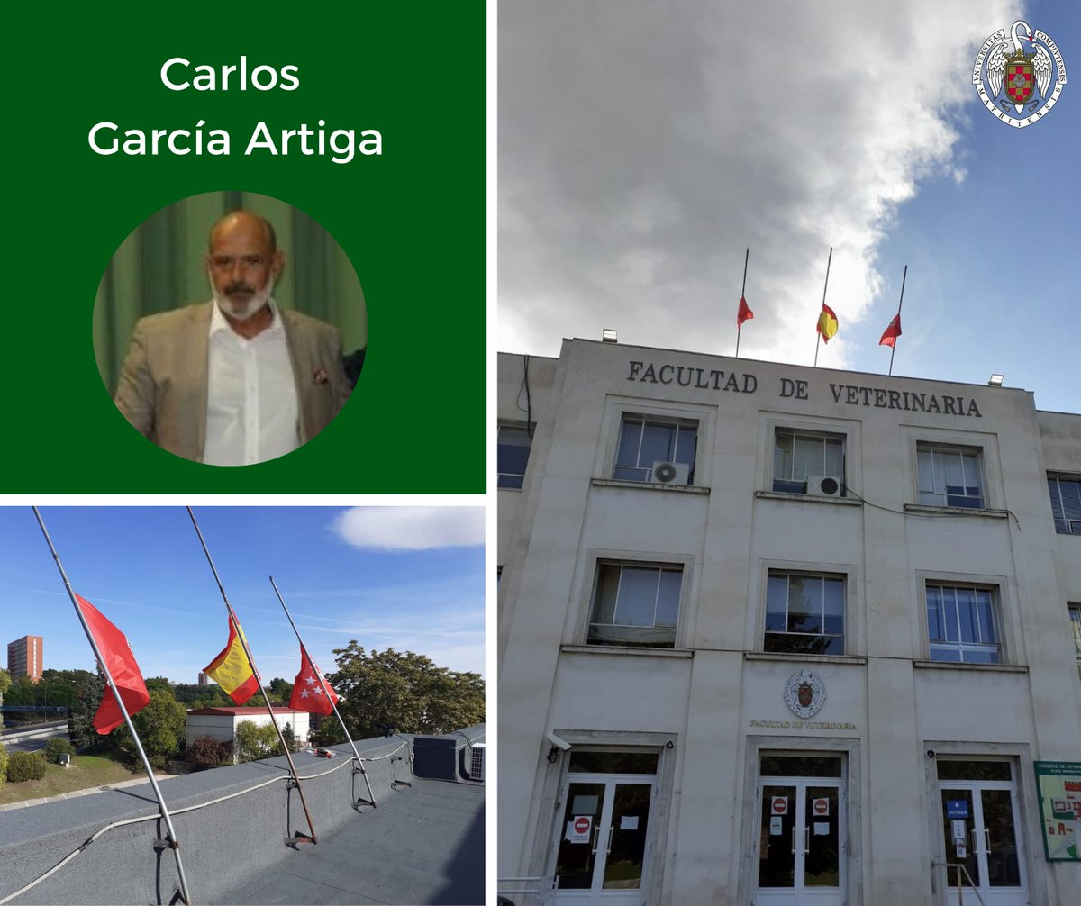 😔 Nos entristece profundamente comunicar el fallecimiento de nuestro compañero Carlos García Artiga.

En nombre de toda la Facultad lamentamos su pérdida y enviamos nuestras condolencias y todo nuestro cariño a su familiares y amigos más cercanos