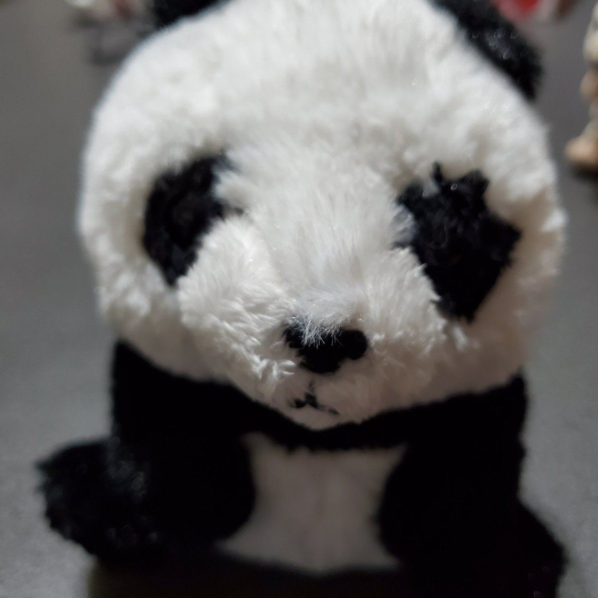 まだらん あ もう1つ名前の由来を知ってて ほしいので もう一言 B 凛凛はもちろん可愛い凛花さんから 頂いたのですが 凛とした という意味もあり 可愛いだけでなく しっかり凛とした パンダに育ってほしくてつけて 大事な事なので2回なんです