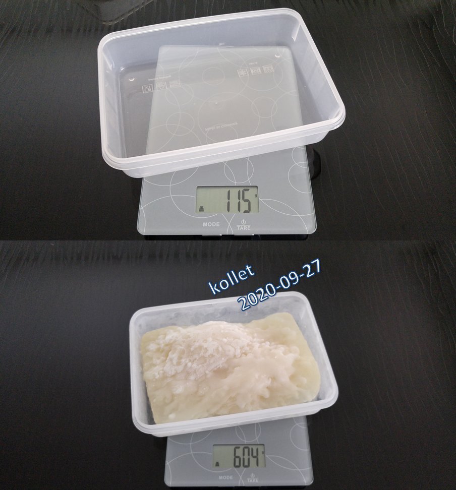 kollet13's tweet photo. Good progress these days, but still can be improved.
23.08.2020: 489g - 116g (empty bowl) = 373g
27.09.2020: 604g - 116g (empty bowl) = 488g
115g in 35 days --> estimated 1.2 kg (liters) per year at this pace. https://t.co/yMvjDpUC7G
