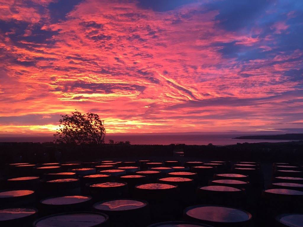 iainastirling's tweet photo. Happy #WorldTourismDay
We look forward to when we can welcome guests to
@arbikie Distillery. Brand Home to the #Arbikie family of sustainable, luxury spirits
#brandhome #distilleryexperience #sustainable #spirits #whisky #scotch #gin #vodka #cocktails #angus #dundee #Scotland https://t.co/6pCv41q5R6