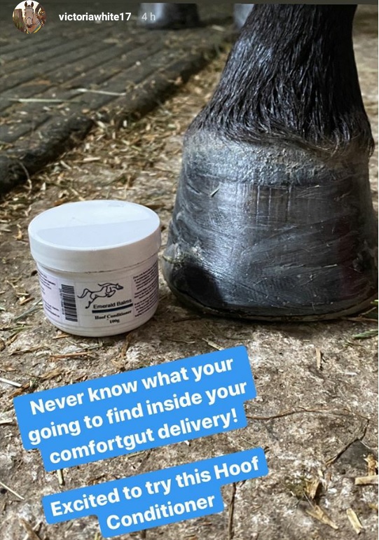 ComfortGutWorld's tweet photo. #EmeraldBalms can be applied in a thin, even layer as necessary to animals with minor scratches, rubs, cuts, abraded or scabbed skin; while soothing for muddy periods, it has useful fly repellent properties #horsechathour #comfortgut #dressagehour #equestrianlife #ruralbloggers https://t.co/USZmKzkbmn