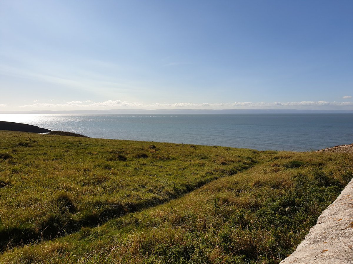 Nice day for a walk with the dogs...