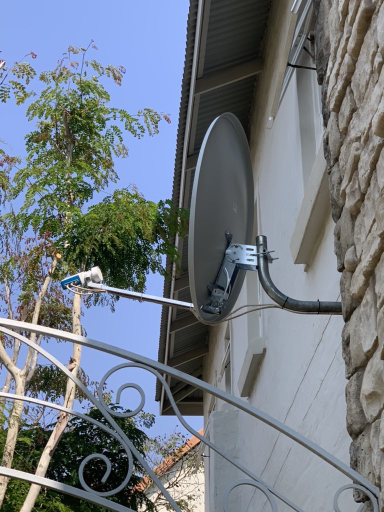 doctor_dstv's tweet image. #treefell🌲