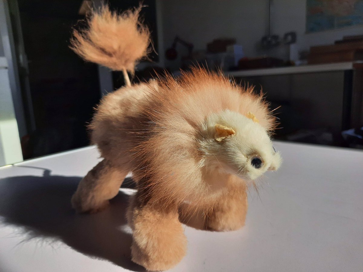 WorldAroundEwe's tweet photo. #BadTaxidermy #Taxidermy #Weirdart #taxidermylion #lions #lion #safari #art #artthread https://t.co/l5hi3PVJ5o